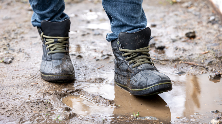 Learn About Our Line of High-Performance Trash Pumps and Dehumidifiers